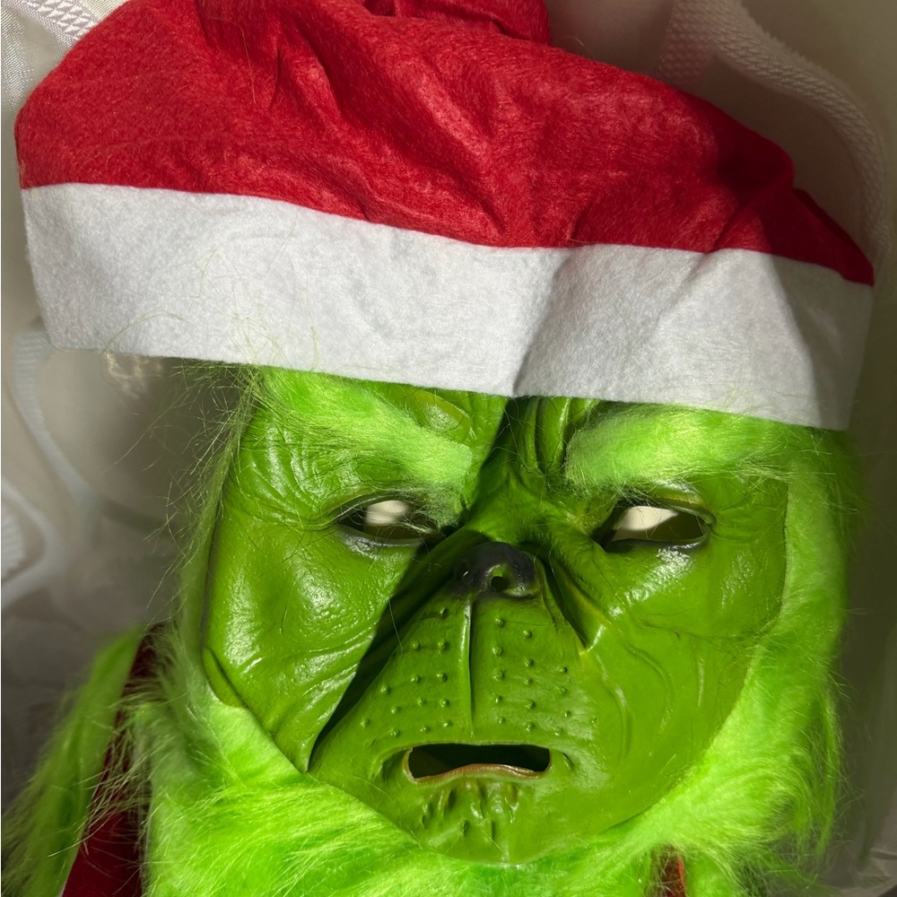 Festive Green Grinch Costume